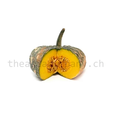 Kürbis gelb_1