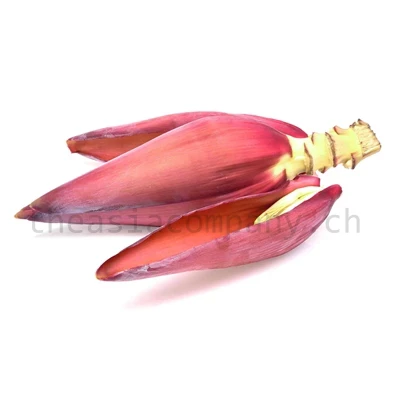 Bananenblüten Mantel_1