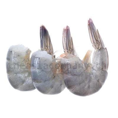 TAC Blacktiger ohne Kopf mit Schale 8/12_1