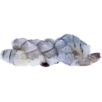 TAC Blacktiger geschält & entdarmt 21/25