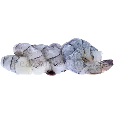 SILVER STAR Blacktiger 6/8 geschält & entdarmt_1