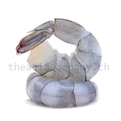 TAC Blacktiger geschält mit Schwanzsegment 26/30_1