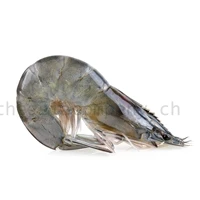 SELVA Blacktiger ganz 6/8