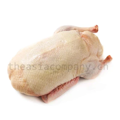 SILVER STAR Enten Grill 1800gr _1