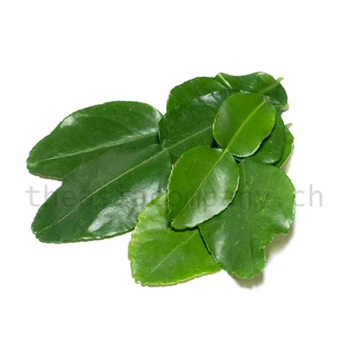 ASIAN CHOICE Kaffirlimettenblätter ganz_1