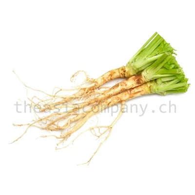 TK Korianderwurzeln_1