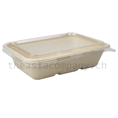 TAC Bagasse Schale Rechteckig & Deckel 500ml_1