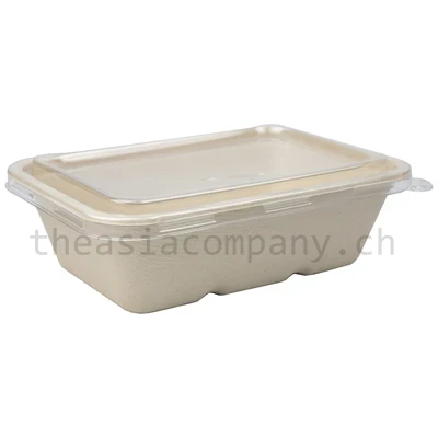 TAC Bagasse Schale Rechteckig & Deckel 650ml_1